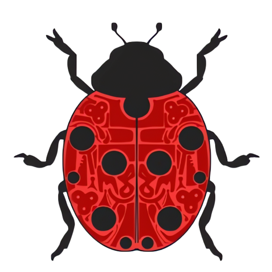 Madame SK8 Ladybug Crop