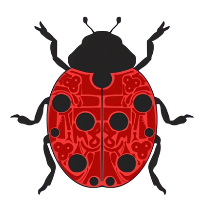 Madame SK8 Ladybug Crop