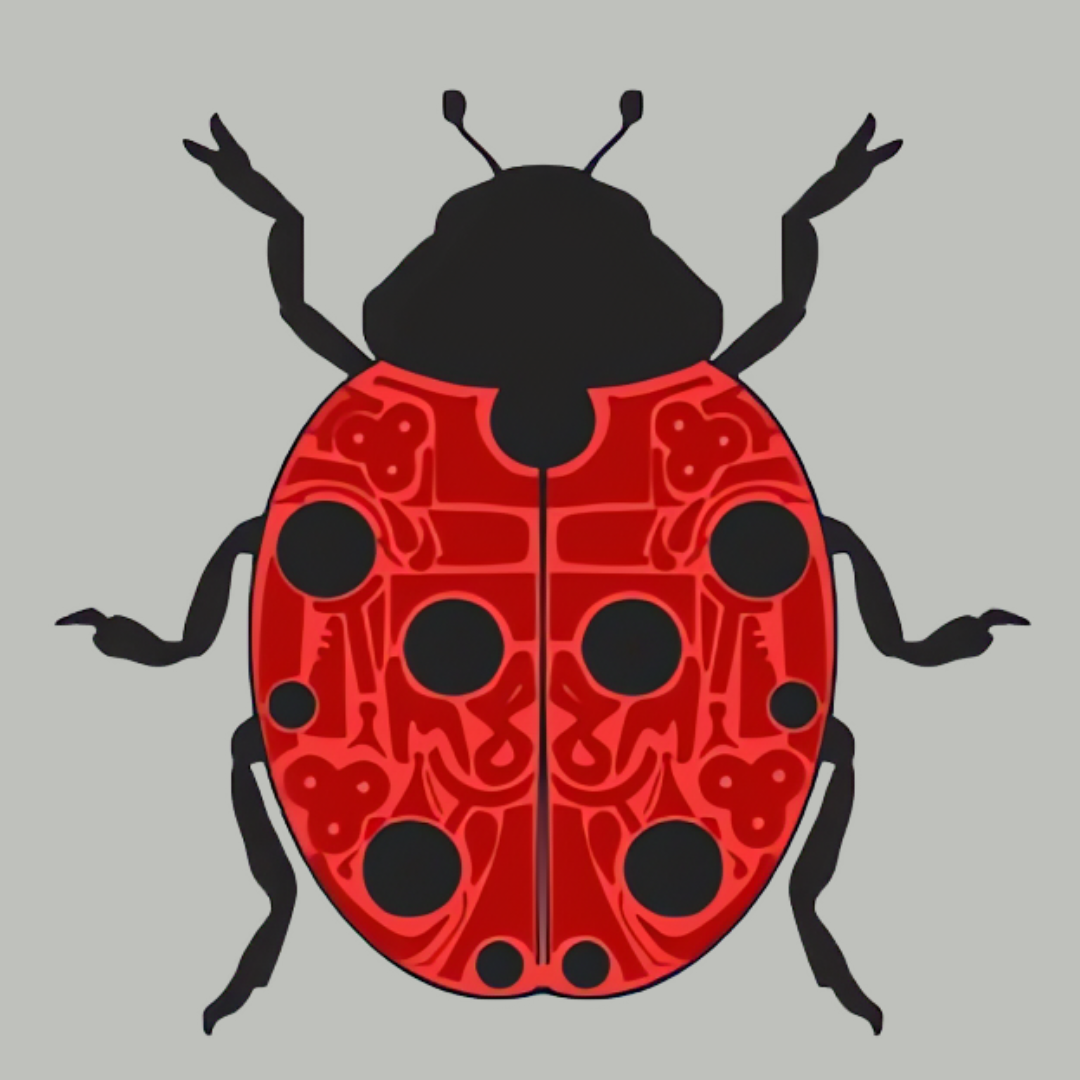 Madame SK8 Ladybug Crop